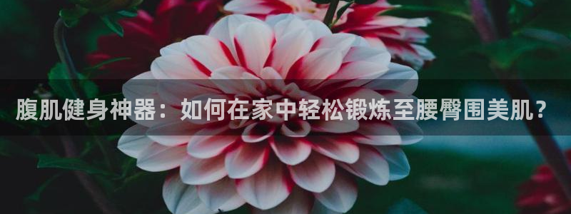 熊猫体育官网下载招商电话是多少啊