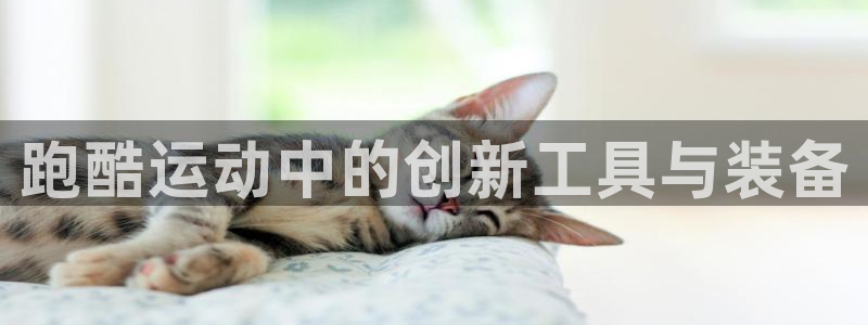 熊猫体育官网下载招商电话号码：跑酷运动中的创新工具与