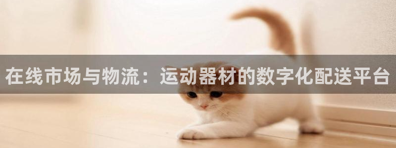熊猫体育官网下载招商：在线市场与物流：运动器材的数字